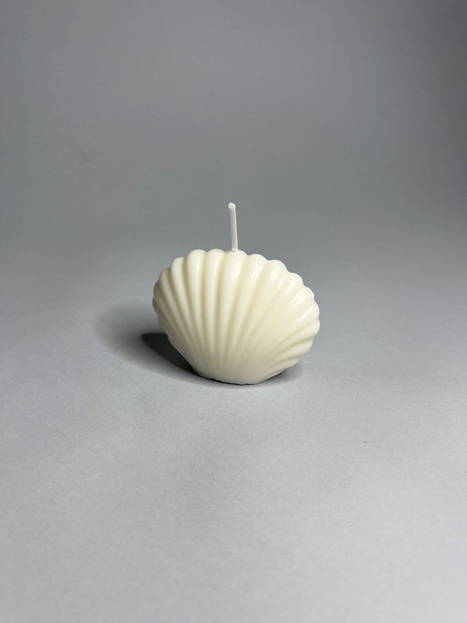 MINI CONCHA - VELA DECORATIVA - BAHIA HOME